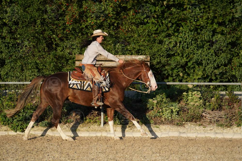 s_A9_07892.jpg